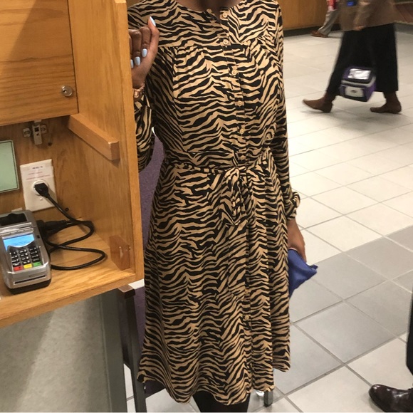 Banana Republic Zebra Print Dress - Picture 3 of 9